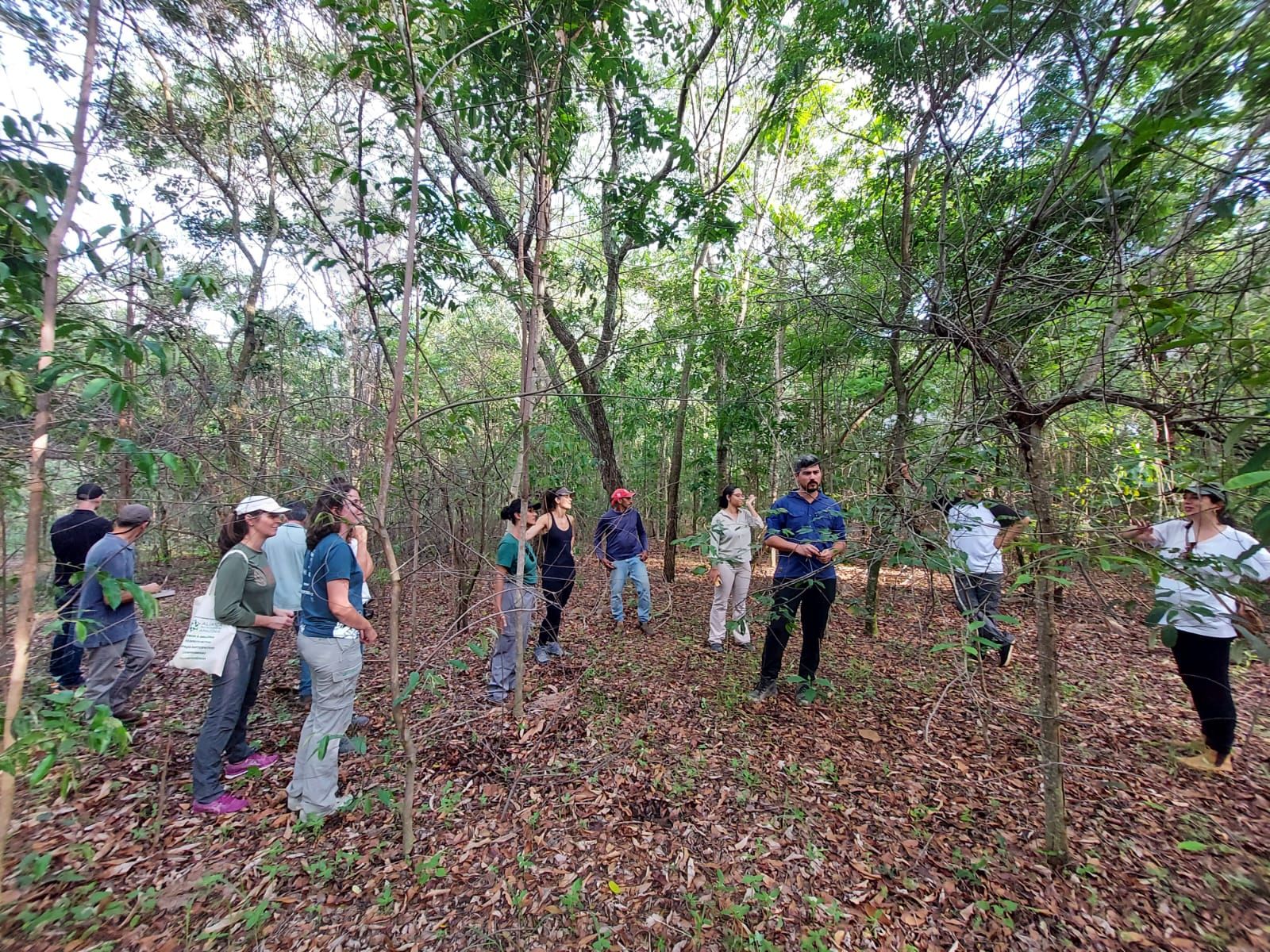 Semeadura direta como estratégia para restauração ecológica de larga escala é apresentada em visita de campo no interior de SP